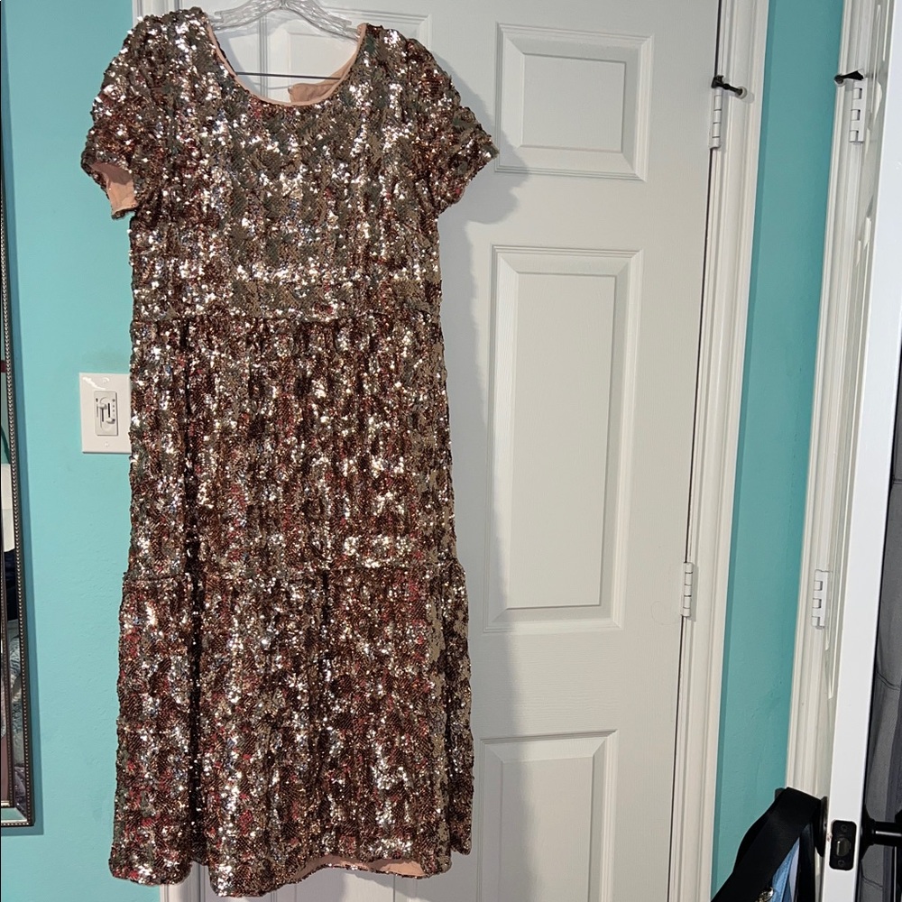 Anthropologie Bronze Sequin Top